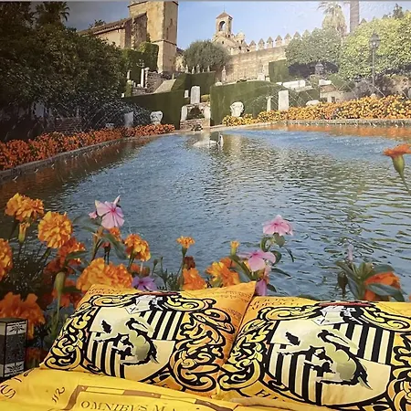 Córdoba Mágica - Alojamiento Temático Centro * Córdoba